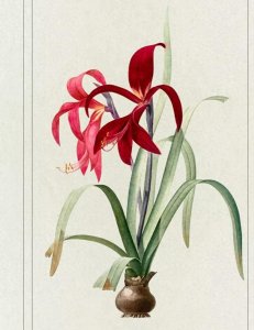 ​什么是简单快乐？简单快乐是一种什么样的体验？