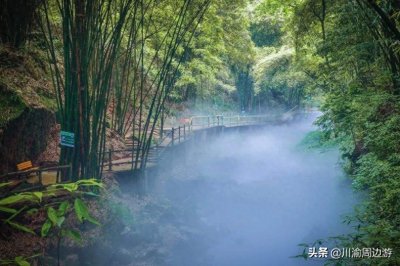 ​成都“竹海”景区好巴适，藏有全球首座高空全景走廊