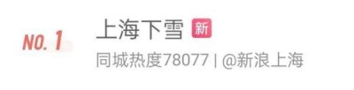 ​快看！上海下雪了！不再是“头皮雪”