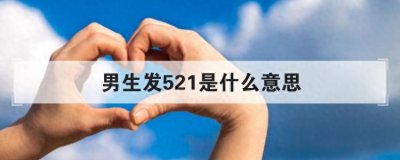 ​有人发521是什么意思，你知道吗？