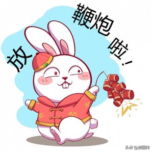 ​兔子简笔画|兔年画可可爱爱的兔子呀~