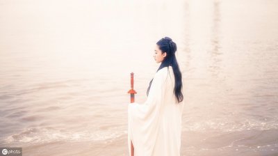 ​《雁南飞》　　作者：蔚空