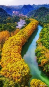 ​记忆中的花溪黄金大道