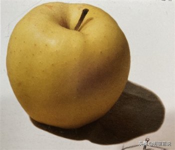 ​素描苹果怎么画？分享素描苹果画法步骤图，在家学画画
