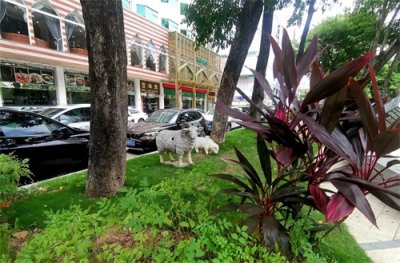 ​深圳清真美味的“天花板”之河州清真餐厅