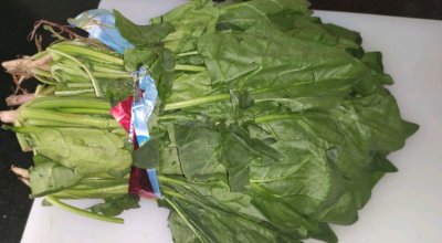 ​东北油焖菠菜家常版，既营养又健康，大人小孩都爱吃，你学会了吗