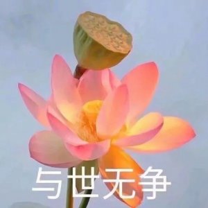 ​「头像」做人嘛，心平气和啦