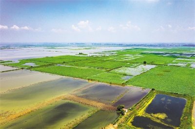 ​湖北汉川汈汊湖退垸还湖六点六万亩
